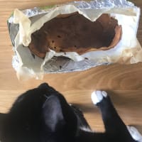 猫も匂いにつられるチーズケーキ