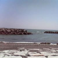 海を綺麗に