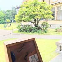 旧岩崎邸庭園４　東京建築祭2025