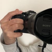 縦位置グリップ購入