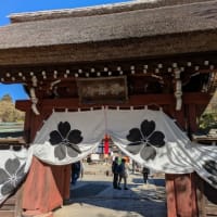 調布の深大寺に神代植物公園へ行きました