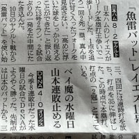 我が家の庭の花々＆日本ハム　ヤクルトに連勝