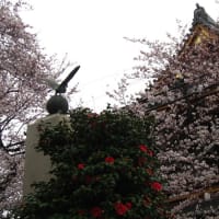 池上本門寺にて