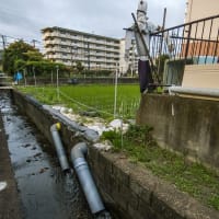 6月21日(土) 雲の隙間から日の出がチラリ！