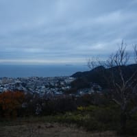 仙元山から