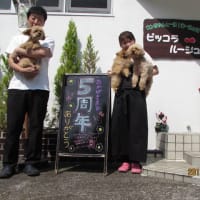 １３周年