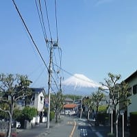 冬化粧の富士山