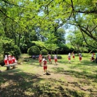 カエルの池での遊び