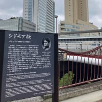 横浜散歩、その１、桜木町から横浜市役所