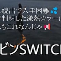 ビンビンSWITCH品切れ状態入手困難💦実釣で毎回激熱カラーこれじゃ📢