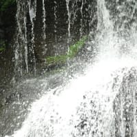 夏の来る頃に