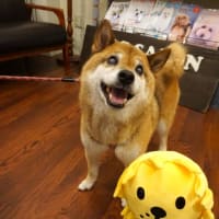 【２０２５年６月２５日・チャッピー】