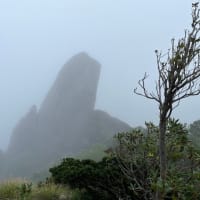ぼー研部　2025’voi.8＊石塚山・2025.6.16