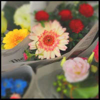 ・Flowers