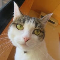今日の1枚