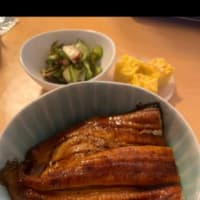 鰻を食べる日だったのか・