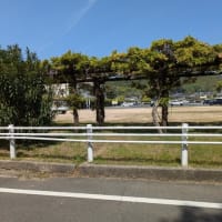    渋川