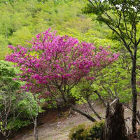 井川・笹山周辺を散策♪