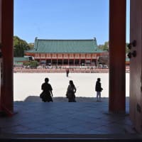 平安神宮　春