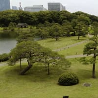 浜離宮恩賜庭園