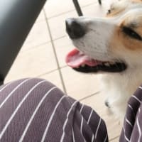 ブログ移動します