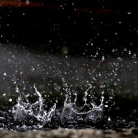 14日、千本釈迦堂から立本寺、平野神社への散歩で梅雨だより＆癌治療