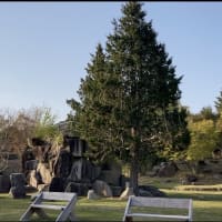 るり渓　4月　SYNESTHESIA HILLSの公園へ　