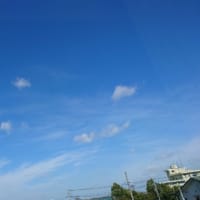 お久し振りです♪