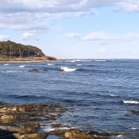 新年あけましておめでとうございます♪