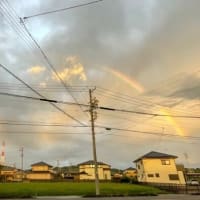 台風を乗り越えて、プチツアー無事終了。
