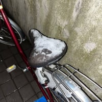 雪