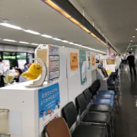 礼拝後は　市役所へ