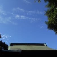 梅雨はどこに？ (・_・)......今日は猛暑日～ 蒟蒻ゼリーを買ってきた＾＾