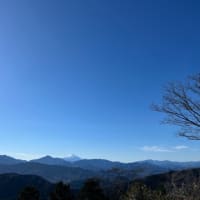 高尾山に登ったよ