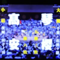 5/20 琴桜　高安　新旧大関