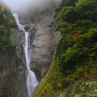 落差日本一の称名滝（３５０ｍ）