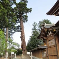高萩八幡宮