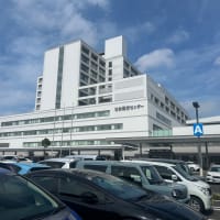 2025年6月10日(火)  つ、ついに解禁⁉ 長かった…😭
