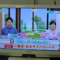 TV番組・特集「初夏の須川高原を行く」   2020年6月13日（土）