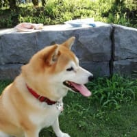 夏休み集合　　たのしいな