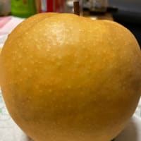 新高梨(にいたかなし)