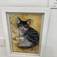 犬と猫との暮らしです～TARO✕如月夕子作品展行ってきました～♪