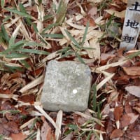 39.Ｃｌｉｍｂ会43回　遥照山　2019.3.16　「18」