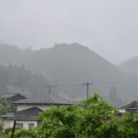 梅雨   2