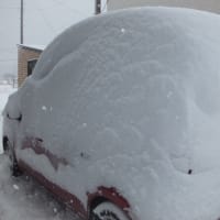 大雪だぁ~~~~