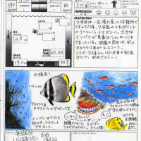 2016夏 久米島 お絵描きダイビングログブック #2