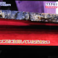 日本の岩石　ブラタモリ　2021..4.30　「61」