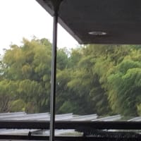 台風のさ中、孫預かり、、、