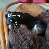 下手くそドライバー