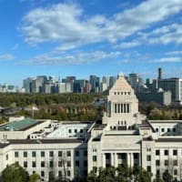 参院選　投票への関心高まる　期日前投票者数988万人で前回比27％増